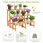 Plant Stand - Set of 6