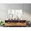 Niki Translucent Curiosities - Photographie sur toile tendue-87948062