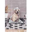«It Was Worth It», reproduction d'art sur toile tendue-813124559