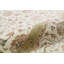 Oriental Area Rug in Ivory