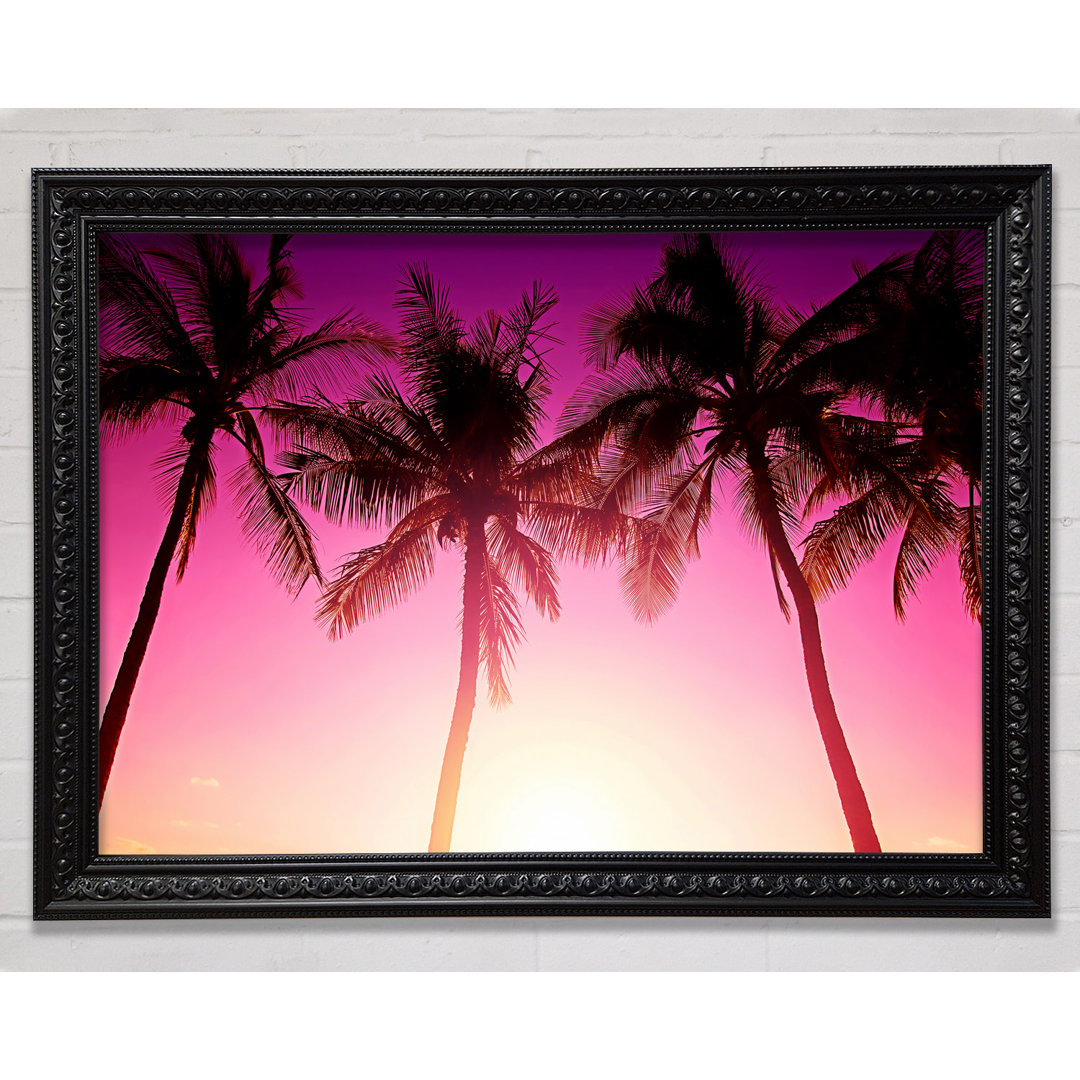 Los Angeles Sunset Palms - Druck