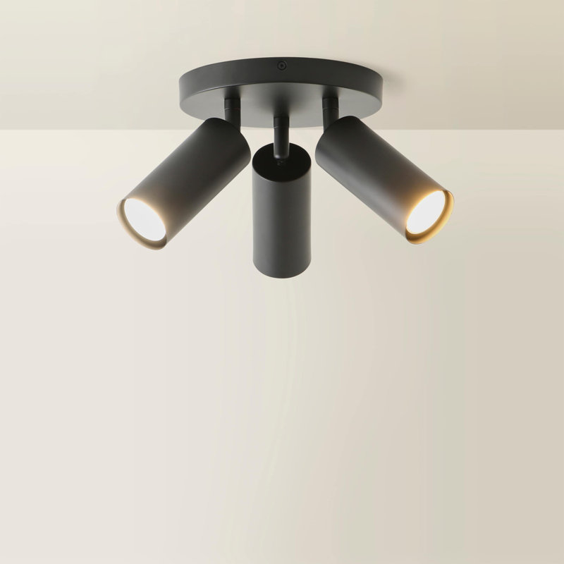 Taylor Matte  Tube Way Adjustable Ceiling Spotlight and Bulbs, 3, Black