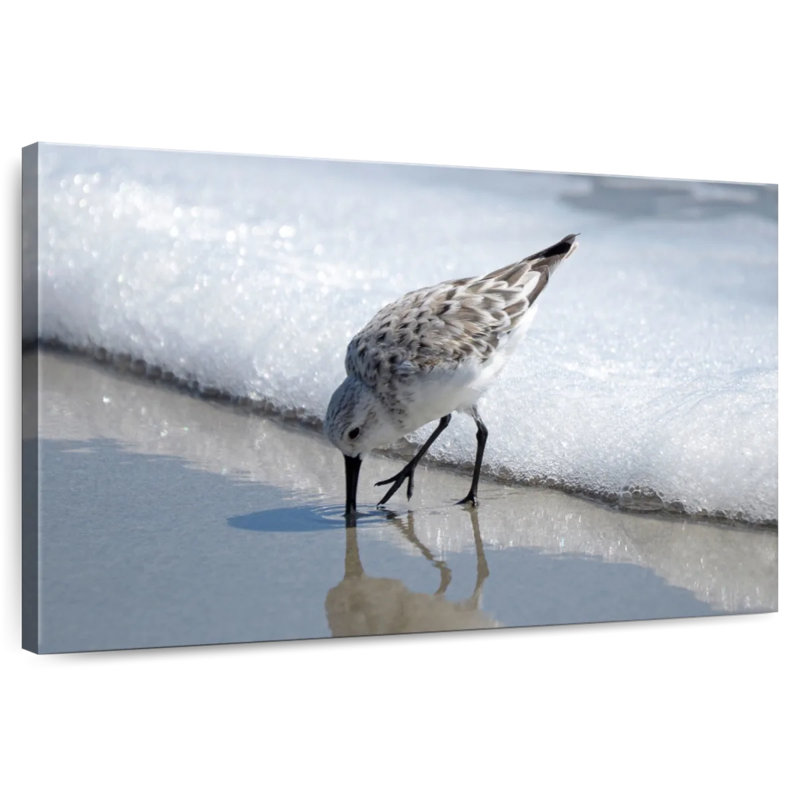 Sandpiper I, 8" H x 12" W