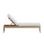 Chaise Lounge-1451815112