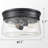 Ayn Glass Flush Mount