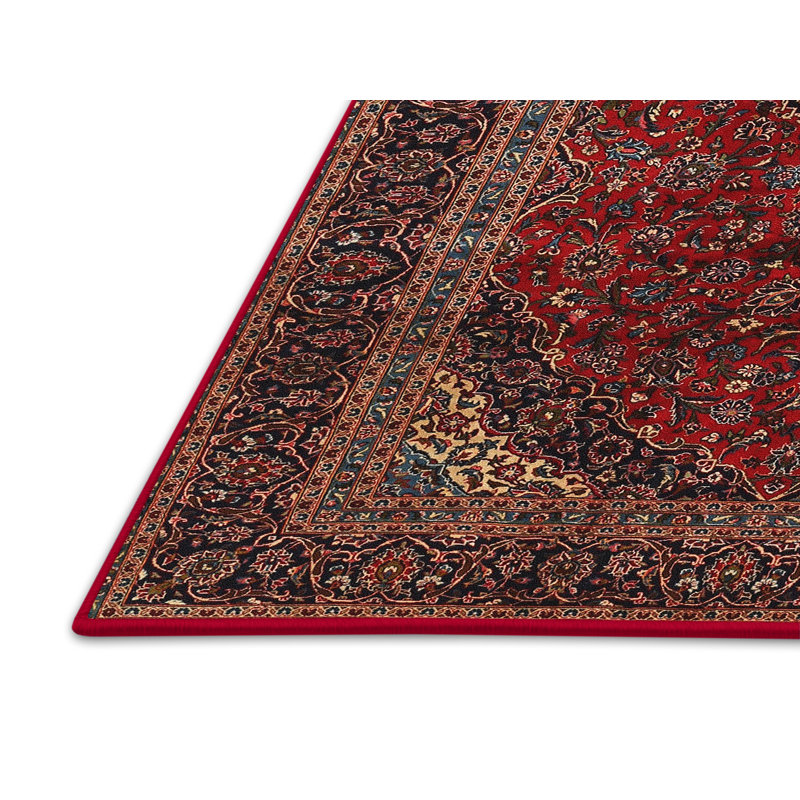 Tapis brun / rouge traditionnel, Rectangle 2 pi x 4 pi