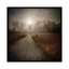 « i make my own path », reproduction de photo sur toile tendue-21469353-74646649-74646650
