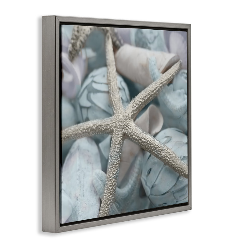 Étoile de mer et coquillages variés, art mural encadré par Susan Bryant, Cadre flottant gris lustré, H 25 po x l 25 po