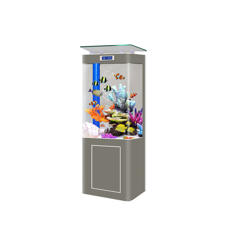 Aquarium de 31,5 po à fond blanc de taille moyenne avec filtre, H 66,14 po x l 31,5 po x P 15,75 po, Transparent/blanc