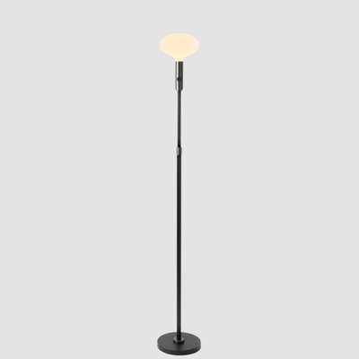 Poise Adjustable Floor Lamp In Graphite with Oval bulb
