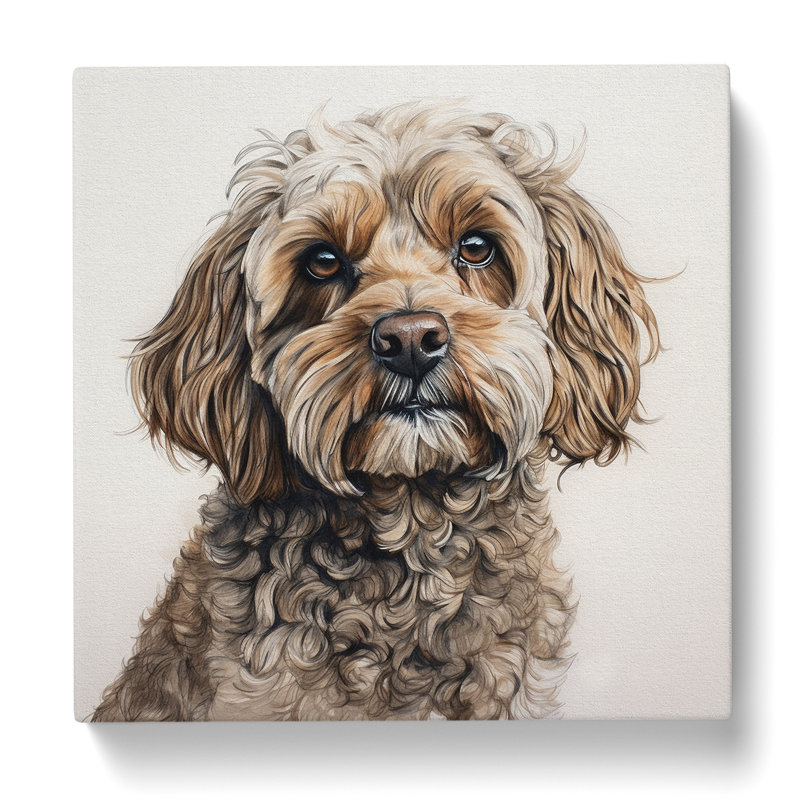 Cockapoo Drawing - Wrapped Canvas