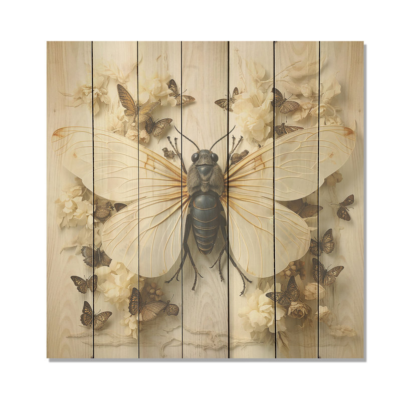 Captivating Moths Insect II - Insectes et insectes sur bois, H 25 po x l 25 po