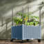 Jardinières réglables et mobiles, polypropylène durable, lit de jardin compact