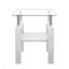 Ensemble de 2 tables à thé modernes en verre trempé, plateau en verre trempé avec panneau de fibres à densité moyenne, table basse, table de bout, table carrée, table de bout
