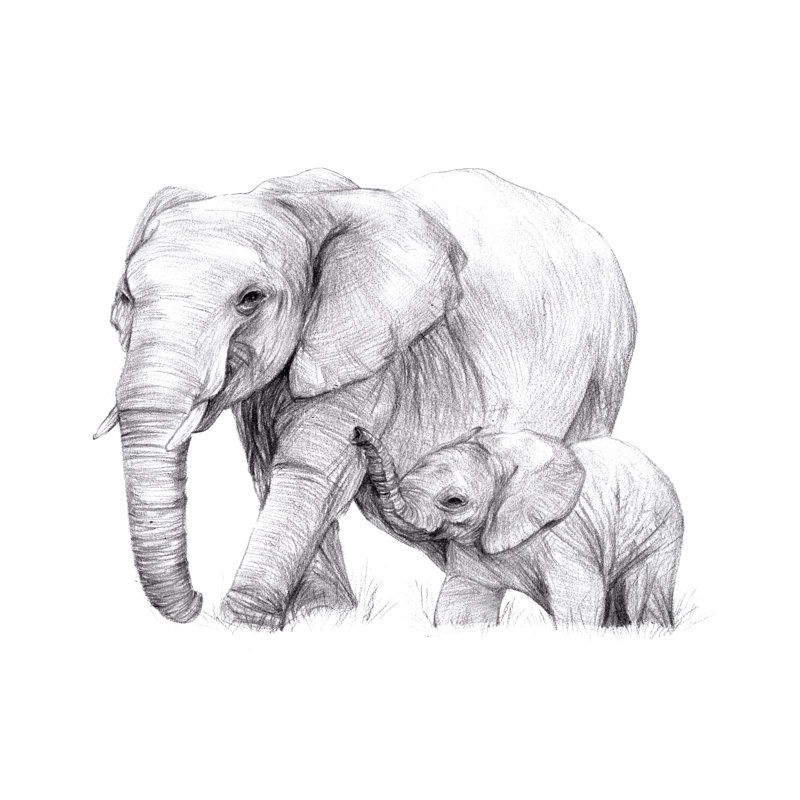 New Beginnings I - Wrapped Canvas Print, 30cm H x 46cm W