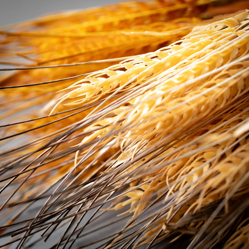 22.5" Artificial Neutral Fall Wheat Bundle Set of 2, Brown
