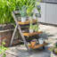 Rowlinson Alderley Plant Ladder-1062456614