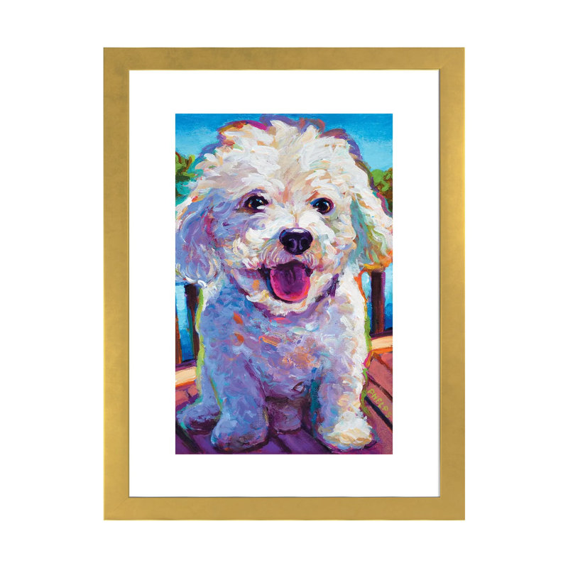 Bichon frisé par Robert Phelps - reproduction d'art, Encadré en papier doré, H 24 po x l 16 po x P 1 po