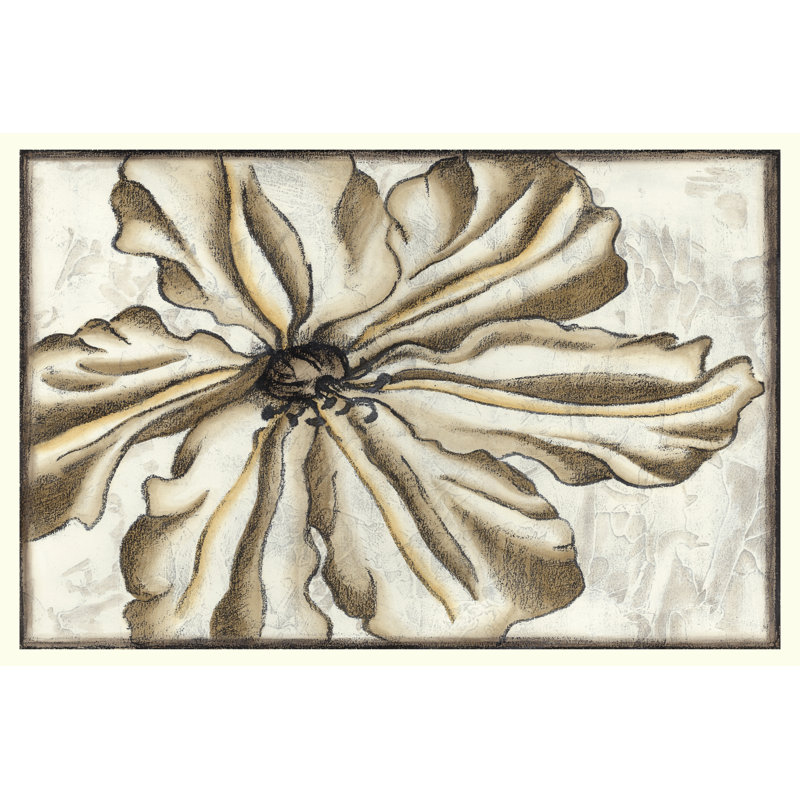 Fresco Flowerhead VI by Nancy Slocum - Wrapped Canvas Painting, 30cm H x 46cm W