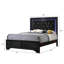 Ensemble de chambre à coucher à panneau tapissier Rodna 5-1_LED-1704163203-1737146209