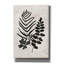«Botanica 1» par Suzanne Nicoll-3249488