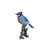 Jay on Branch Statue