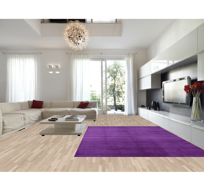 Tapis mauve moderne Gabbeh 9x12