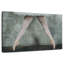 Pieds toniques d'une ballerine-446814297