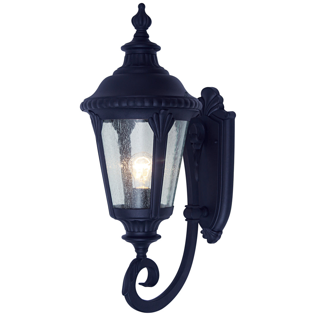 Siclen 1 - Bulb Seeded Glass Outdoor Wall Lantern Fleur De Lis Living Fixture 