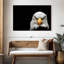 Angry Bald Eagle-107714547