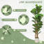 Plant-2104939306