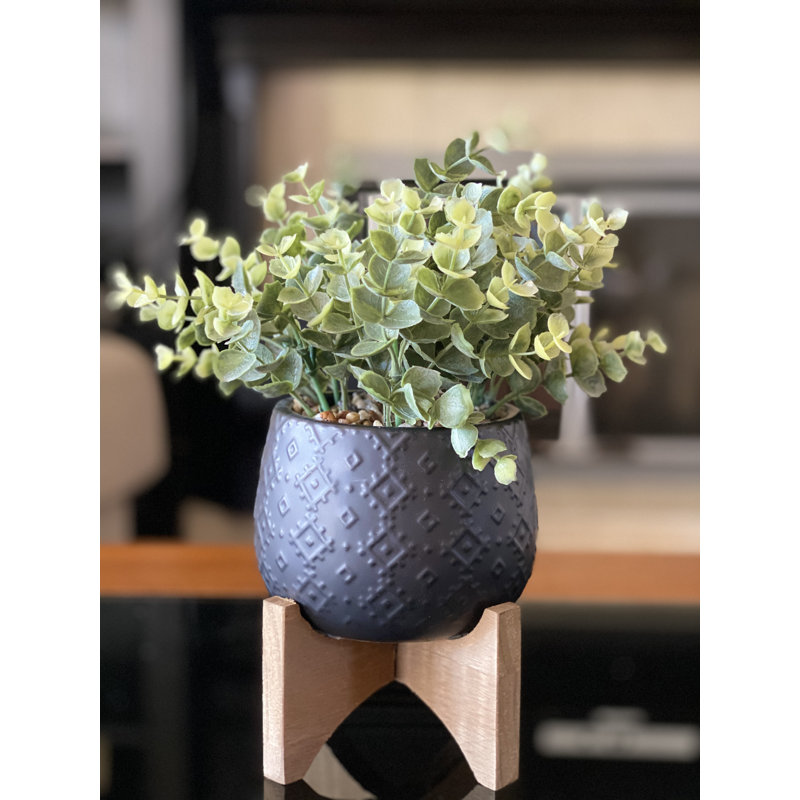 Plante eucalyptus artificielle 3,5" en pot à fleurs
