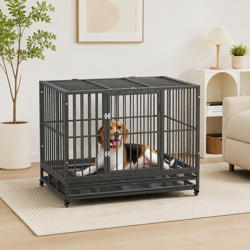Steel Pet Crate