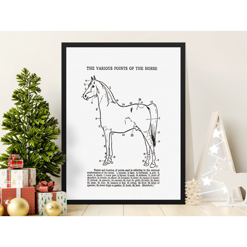 Comeau Single Picture Frame Print, 121.92 cm H x 81.28 cm W