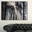 «Sunbeam Through Black White Forest», photographie-35125685-35125691