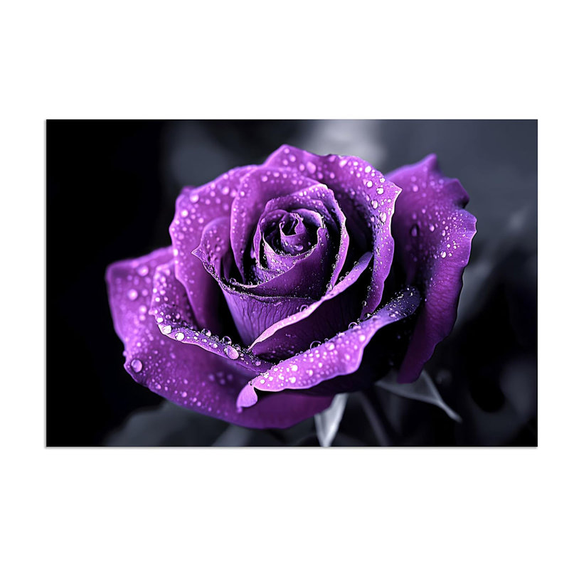 Print