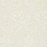 Chrysanthemum Wallpaper