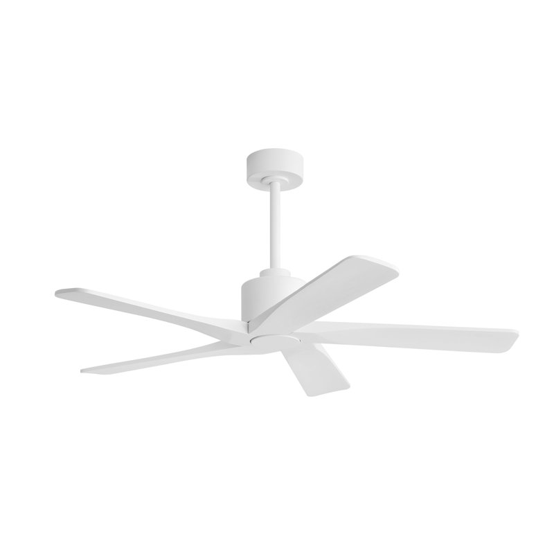 Ventilateur de plafond d'intérieur à 5 pales Baun avec télécommande, Blanc, Blanc, 48"