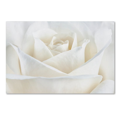 «Pure White Rose», reproduction de photo encadrée