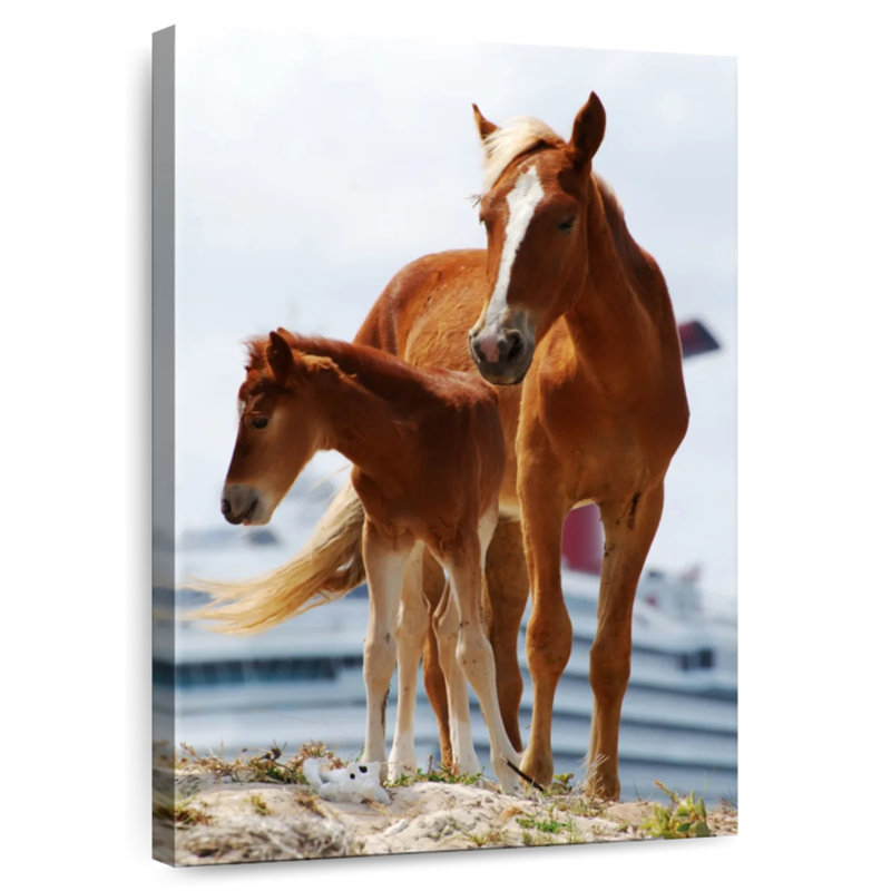 Brampt Brown Horses, 24" H x 16" W