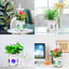 Lampe de culture Hansen