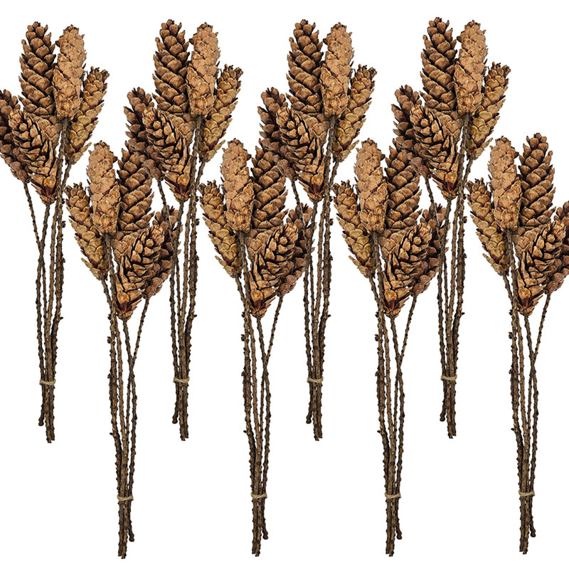 Ensemble de 8, 23,5 po 5Pcs / bouquet de brindilles de pin Strobus
