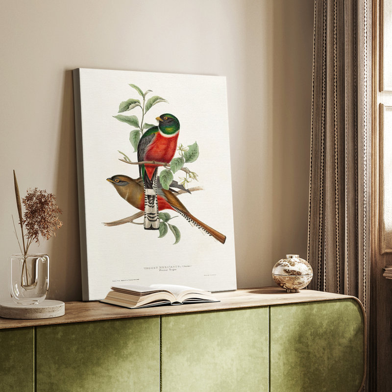 ElegantTrogonsI - galerie Cavas sur mesure, H 60 po x l 40 po