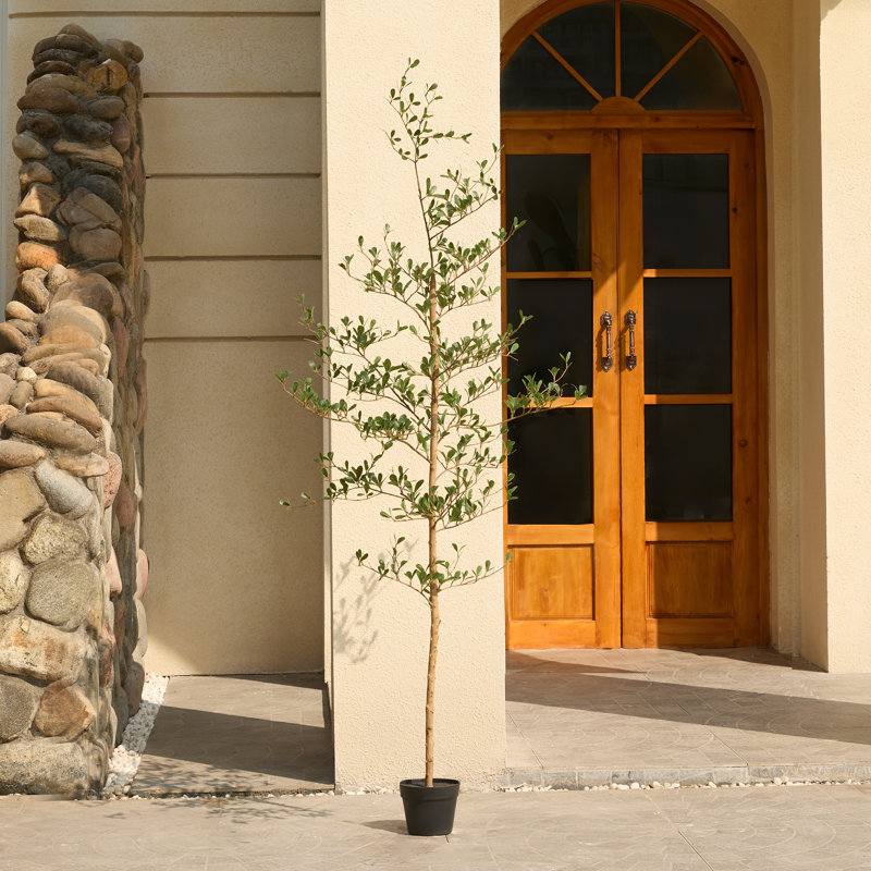  Adcock 6ft Artificial Tree Black Olive, UV Resistant Faux Plants - Real Wood Trunk, Floor Plant Outdoor Decor