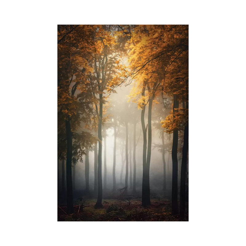 Fall 1 Piece Wrapped Canvas Wall Art, 30.48 cm H x 45.72 cm W