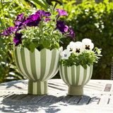 Planters Pottery And Cement Scalloped Rim Striped Design Indoor Outdoor Garden Use Set Of 2 - 8", 6" White & Green