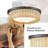 Allasia LED Flush Mount-1108116210