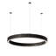 1 - Light LED Pendant