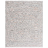 Oriental Area Rug in Gray/Rust