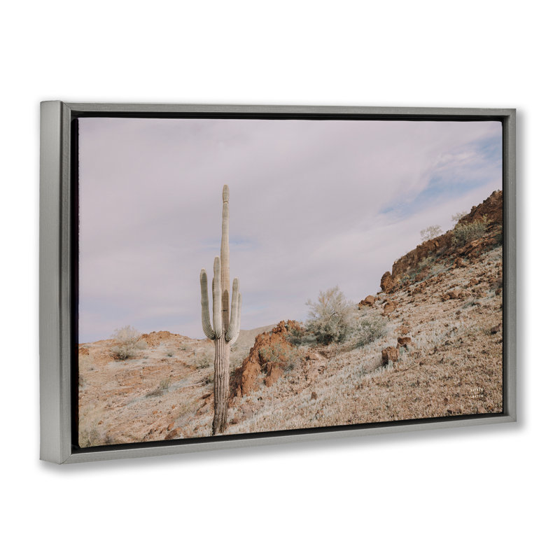 Toile flottante encadrée «The Climb Desertscape» par Wild Apple, Cadre flottant gris lustré, H 21 po x l 31 po